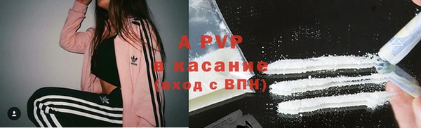 шишки Армянск