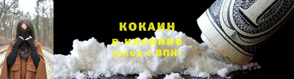 шишки Армянск