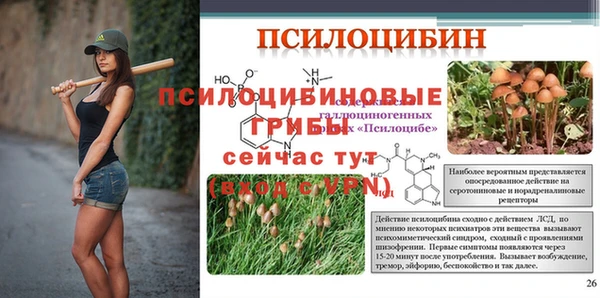 мдпв Арсеньев